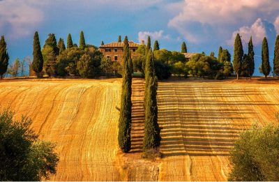 tuscanywine tuscanywine